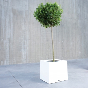 bac à plantes PM - Alea - Alea Dirk Wynants