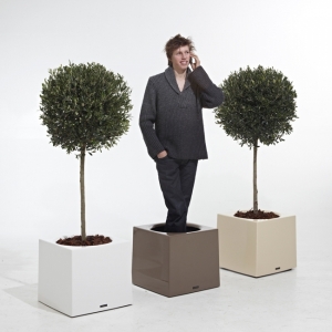 bac � plantes PM - Alea - Alea Dirk Wynants