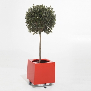 bac � plantes PM - Alea - Alea Dirk Wynants