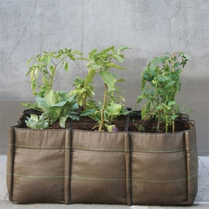 jardini�re - BacSquare Virgile Desurmont