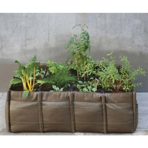 jardini�re - BacSquare Virgile Desurmont